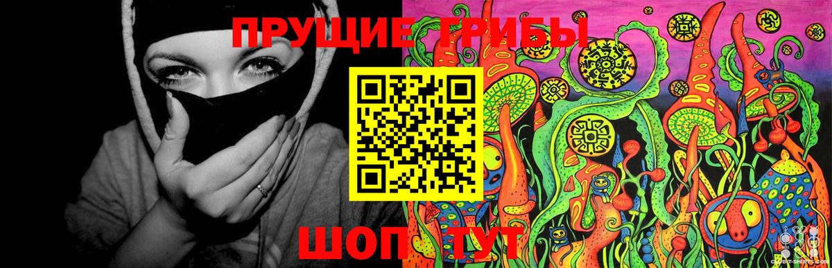 Псилоцибиновые грибы Cubensis  Галлюциногенные грибы прущие грибы  Вход с VPN  Орск 